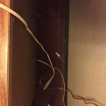 Magnuson Hotel Dixon - garbage found behind dressers and places not visible to the eye immediately. - Hotels Near Me - Dixon, Illinois Magnuson Hotel Dixon - garbage found behind dressers and places not visible to the eye immediately. - Hotels Near Me - Dixon, Illinois