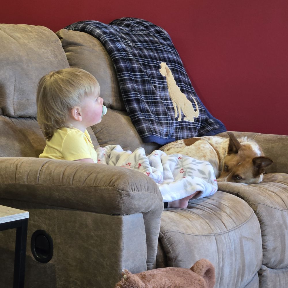 The Modern K9 - Proof she's not fierce - Pet Training Near Me - Rochester, Minnesota The Modern K9 - Proof she's not fierce - Pet Training Near Me - Rochester, Minnesota