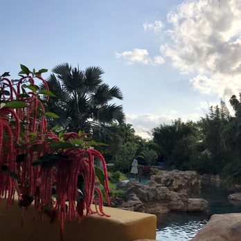 Discovery Cove - Amusement Parks Near Me - Orlando, Florida