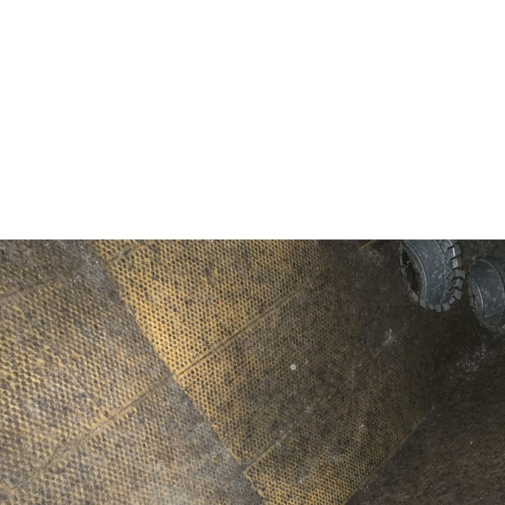 TexCen Realty - Black Mold - Property Management Near Me - Kyle, Texas TexCen Realty - Black Mold - Property Management Near Me - Kyle, Texas