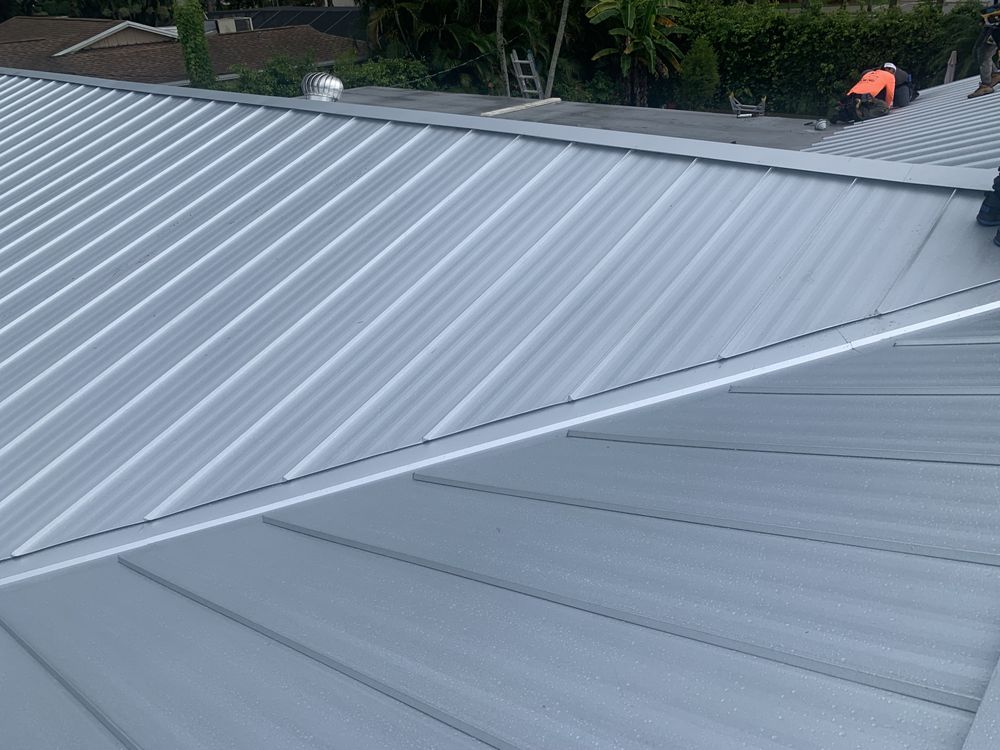 Slide of The Roof Wizard