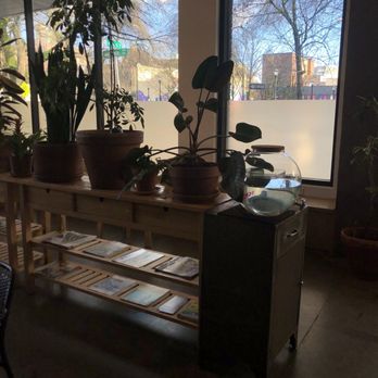 Cadejo Coffee - plants and water station - Coffee & Tea Near Me - Portland, Oregon Cadejo Coffee - plants and water station - Coffee & Tea Near Me - Portland, Oregon