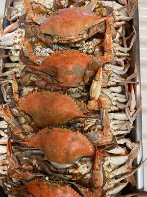 Lartigue's Original Fresh Seafood Market by null