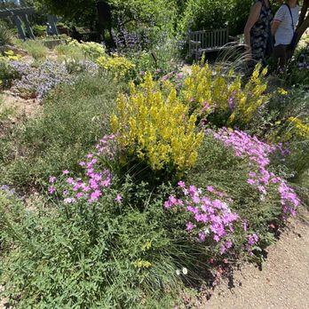 Denver Botanic Gardens - Botanical Gardens Near Me - Denver, Colorado Denver Botanic Gardens - Botanical Gardens Near Me - Denver, Colorado