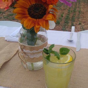 Schwebach Farm - Lemon basil refresher - Farmers Market Near Me - Moriarty, New Mexico