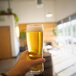 Alma Mader Brewing - dry-hopped lager