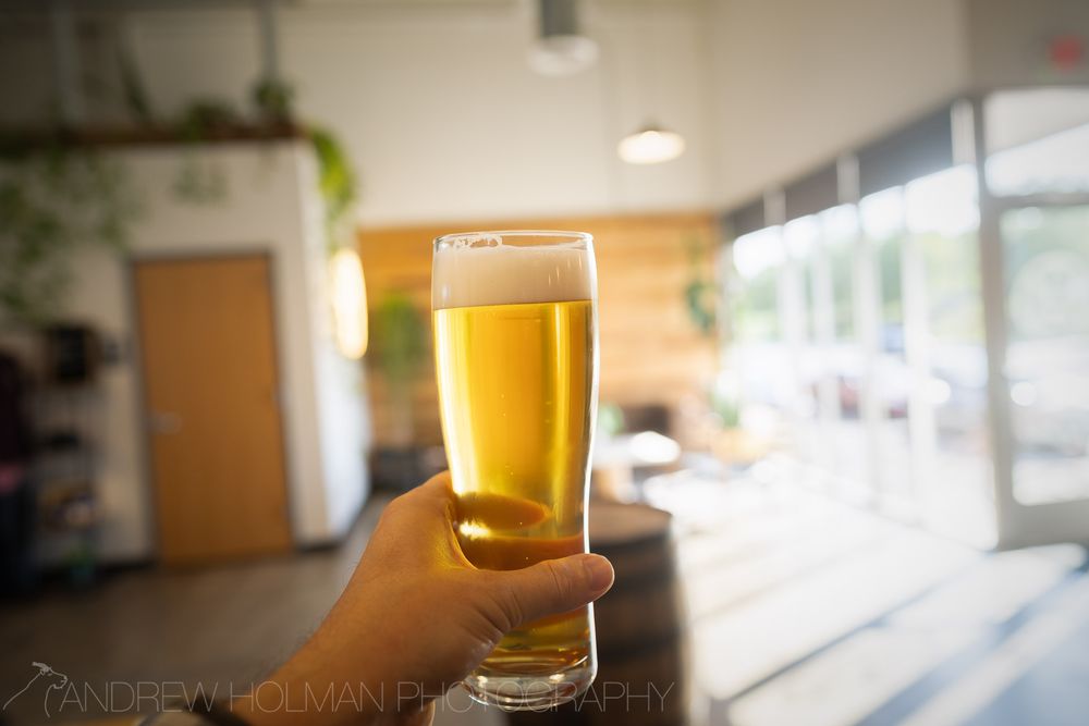 Alma Mader Brewing Logo