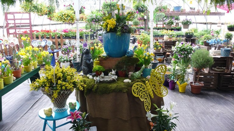 PAULETTE’S POTTING SHED - Updated February 2025 - 54435 Territorial Rd ...