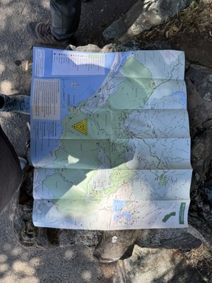 Mount Tamalpais State Park by null