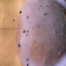 Sugar’d Up - Add a hydro jelly mask