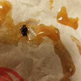 A bug in my chili.