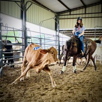 Rosemary Horse Ranch - Horseback Riding Near Me - Waller, Texas Rosemary Horse Ranch - Horseback Riding Near Me - Waller, Texas