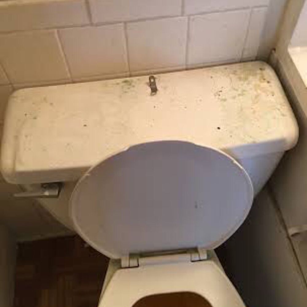 Fat Property - The toilet was filthy. - Apartments Near Me - Houston, Texas Fat Property - The toilet was filthy. - Apartments Near Me - Houston, Texas