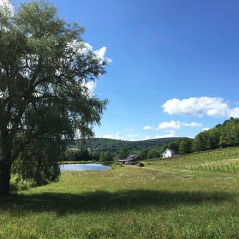 Pail Shop Vineyards - The view of the vineyard - Wineries Near Me - Fly Creek, New York Pail Shop Vineyards - The view of the vineyard - Wineries Near Me - Fly Creek, New York