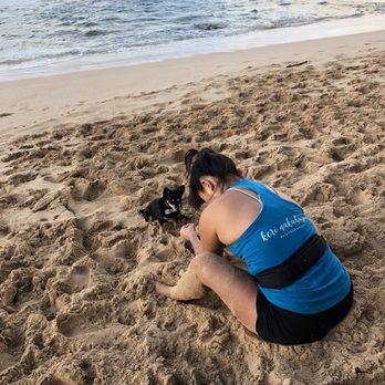 Keri Nakahashi Photography - Behind the scenes! - Pet Photography Near Me