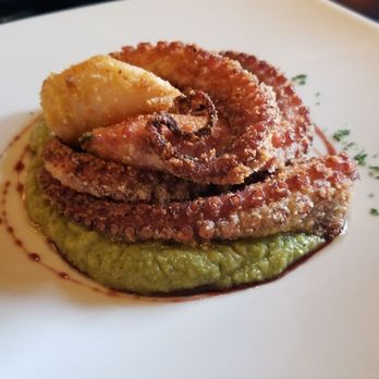 Trattoria 4 Leoni - Polpo- Octopus - Italian Near Me - Florence, FI Trattoria 4 Leoni - Polpo- Octopus - Italian Near Me - Florence, FI