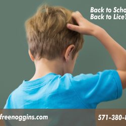 Lice Free Noggins Arlington - Natural Lice Removal - Back to School, Back to Lice