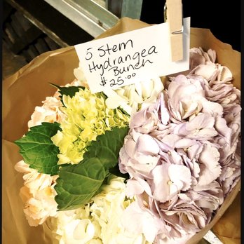 Camellia Farm Flora - Florists Near Me - Fort Worth, Texas