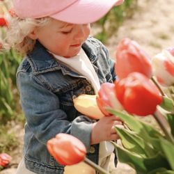 Waterdrinker Family Farm & Garden - Long Island Tulip Festival