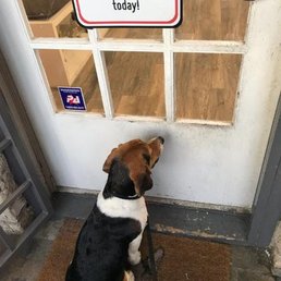 The highlight of his day! The highlight of his day!