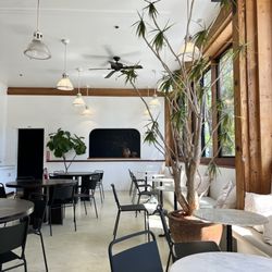 Tarocco - Inside. So cute
