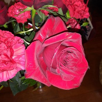 Miracle Flowers - Wilted dying flowers - Florists Near Me - Folsom, California Miracle Flowers - Wilted dying flowers - Florists Near Me - Folsom, California