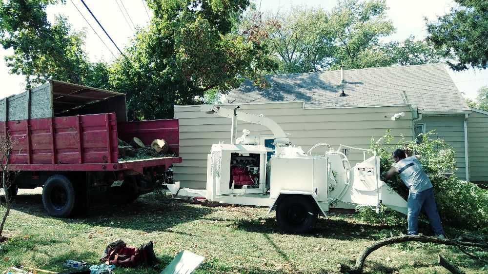 All Seasons Tree Service - tree service in Peoria, IL