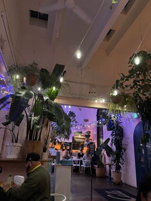 Bar Cala by null