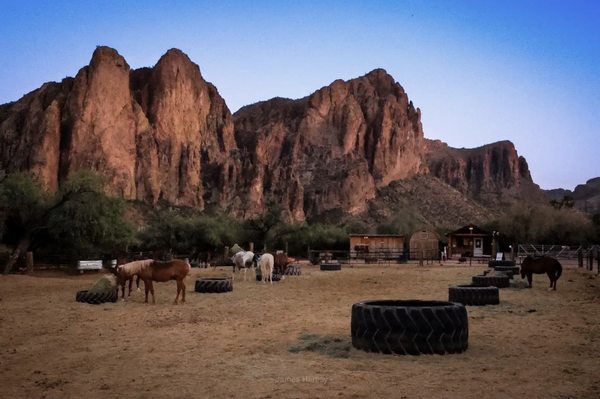 Saguaro Lake Guest Ranch by null