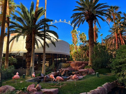 Flamingo Las Vegas by null
