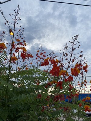 Quack's 43rd Street Bakery by null Quack's 43rd Street Bakery by null