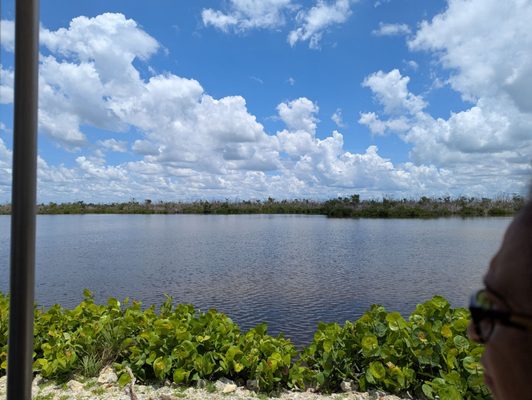 Tarpon Bay Explorers by null