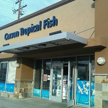 Carson Tropical - Local Fish Stores Near Me - Hawaiian Gardens, California