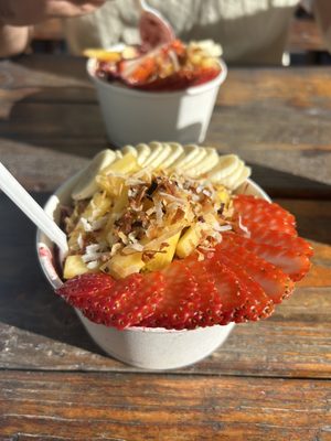 Baya Bowls by null