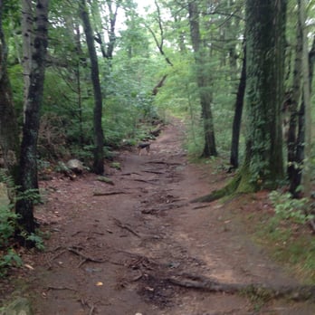 Cat Rock Park - trail at cat rock park - Dog Parks Near Me - Weston, Massachusetts