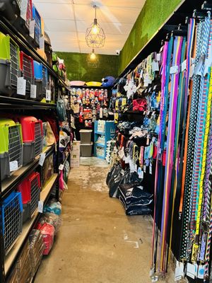 Off the Leash by null