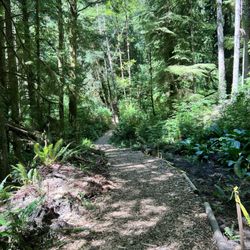 Friends of Wildwoods - Friends of Wildwoods Trail