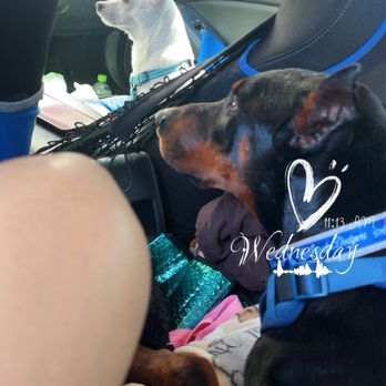 Barks & Bubbles - Self Wash and Supply - Pet Stores Near Me - Whittier, California
