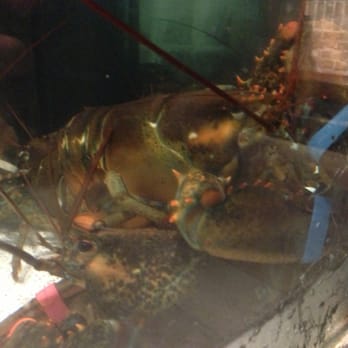 Red Lobster - Seafood Near Me - Doral, Florida Red Lobster - Seafood Near Me - Doral, Florida