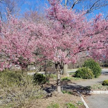 Frelinghuysen Arboretum - Botanical Gardens Near Me - Morristown, New Jersey