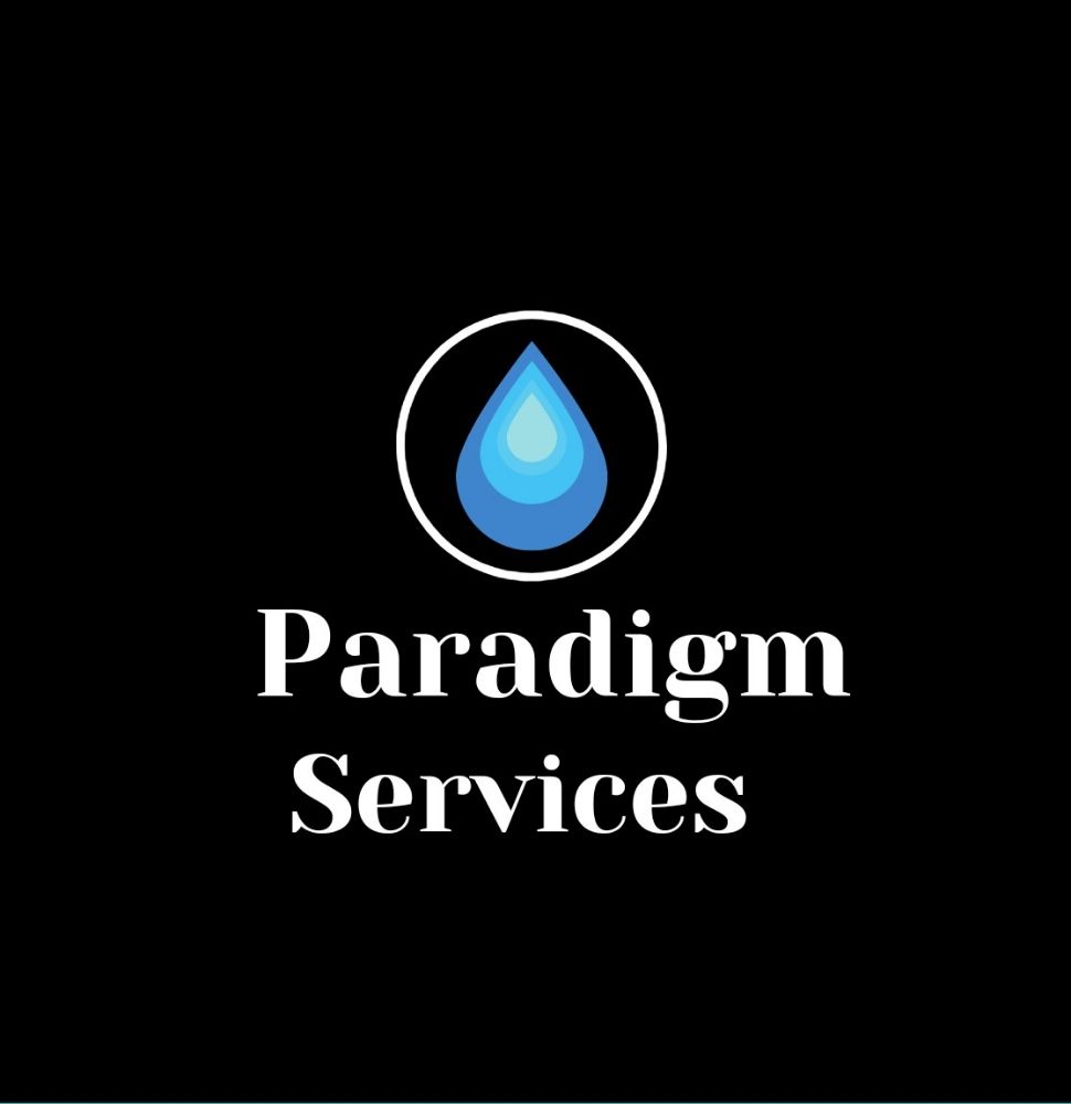 Slide of Paradigm Services