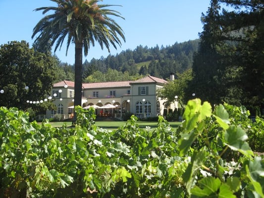 Chateau St. Jean Winery by null