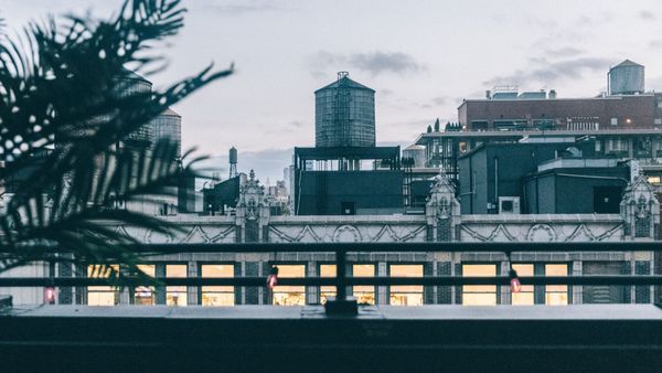 Wallflower by null Wallflower by null