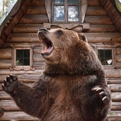 Clueless Escape Rooms - Visit our newest room:  Bear Trap