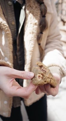 Fellini Cucina by null