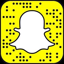 Brin Hvac and Remods - Snapchat logo