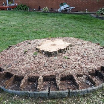 Patriot Tree Removal - Tree Services Near Me Patriot Tree Removal - Tree Services Near Me
