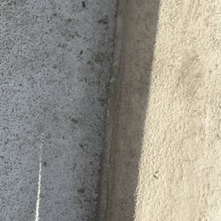 ALL Clear Bedbug Removal