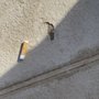 Concrete Texturing