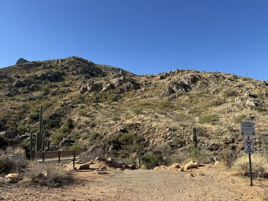 Catalina State Park by null